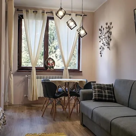 Borohome Apartament *