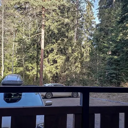 Borohome * Боровец