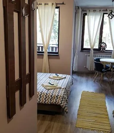 Borohome Apartament *