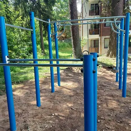 Apartmán Borohome Borovec