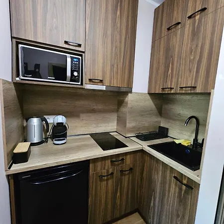Apartament Borohome