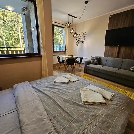 Borohome Apartament Borowec